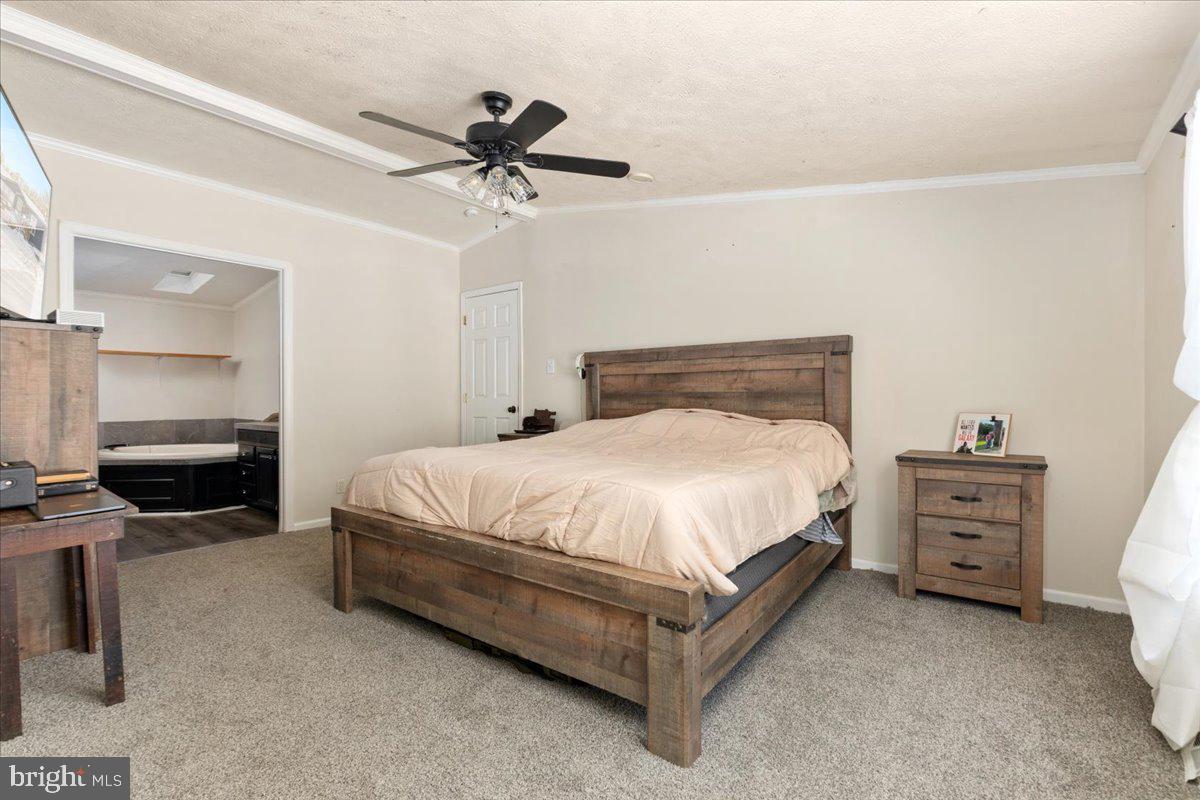 1501 South Timber Ridge Road Cross Junction, VA 22625 - Photo 19 of 66 a bed room with a bed and a ceiling fan