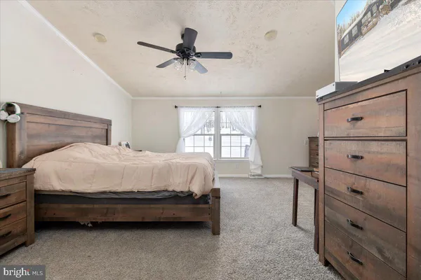 a living room with a bed furniture and a chandelier
