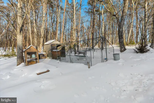 a view of backyard of the house