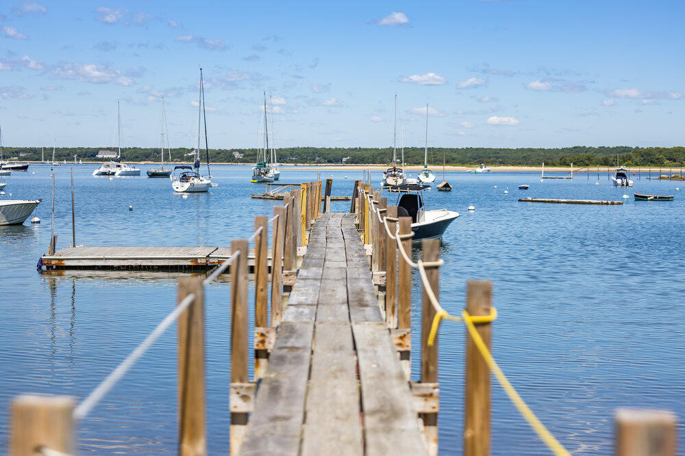 250 Scraggy Neck Road Cataumet, MA 02534 - Photo 60 of 86 250 Scraggy Neck Road
