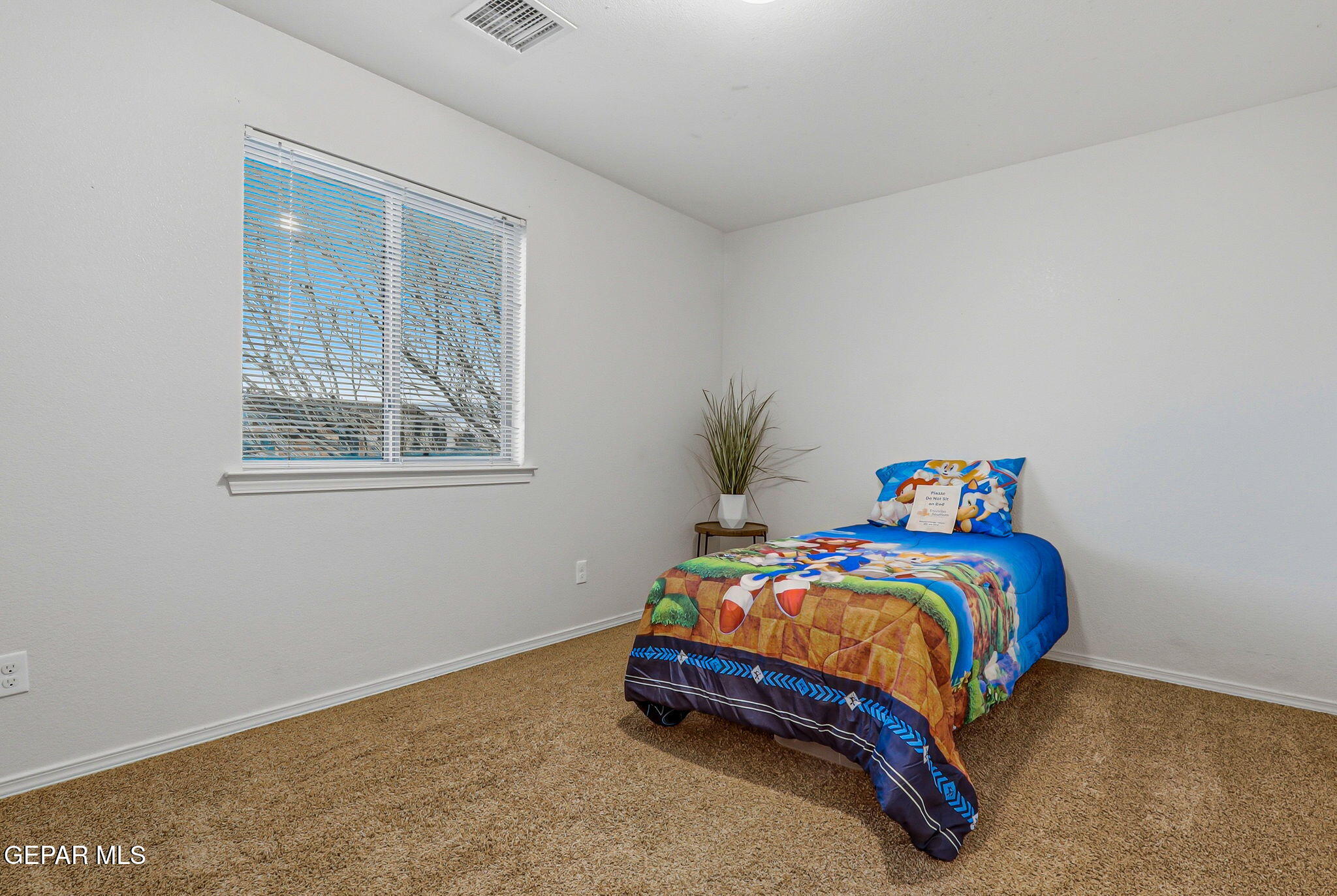 5024 Copper Ranch Avenue El Paso, TX 79934 - Photo 51 of 57 18-web-or-mls-IMG_9444