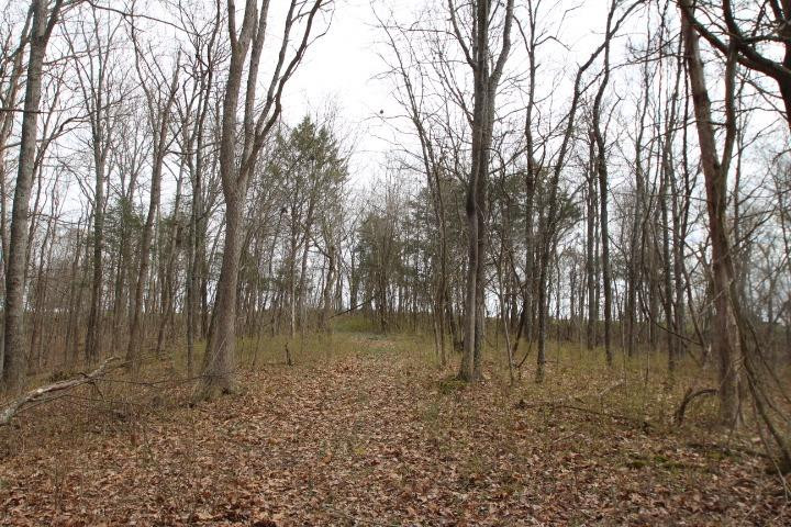 1 Gest Road Frankfort, KY 40601 - Photo 6 of 12 Photo 6