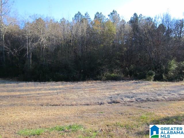 3371 Vaughn Road Altoona, AL 35952 - Photo 29 of 33