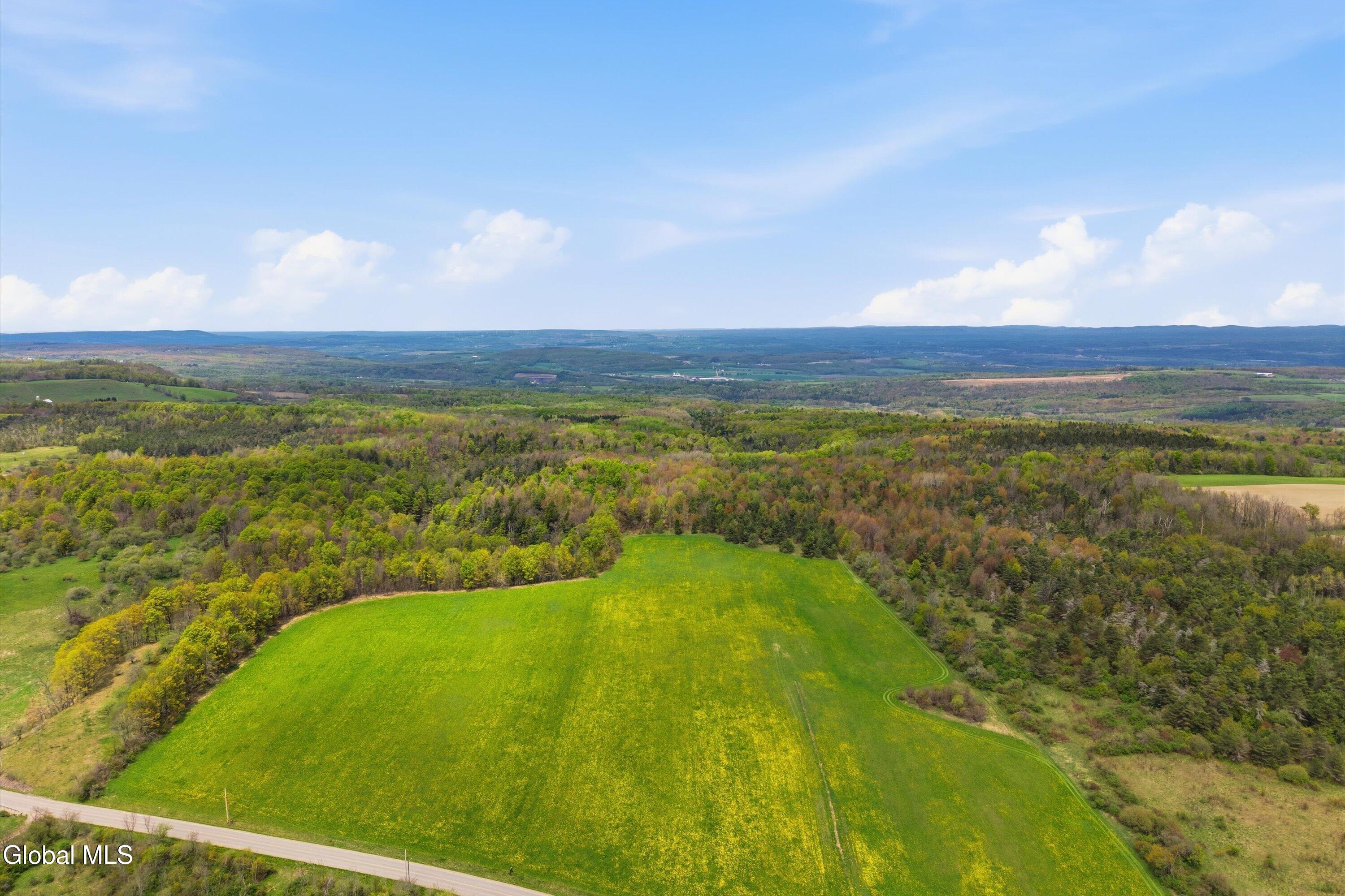 L27 Travis Road Fort Plain, NY 13339 - Photo 11 of 11 177.70 acre - Travis Rd lot