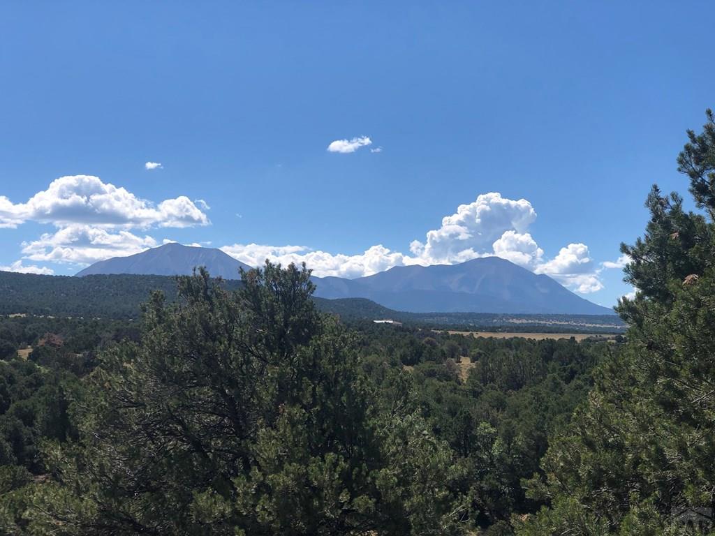 Lot 64 River Ridge Trail La Veta, CO 81055 - Photo 19 of 29