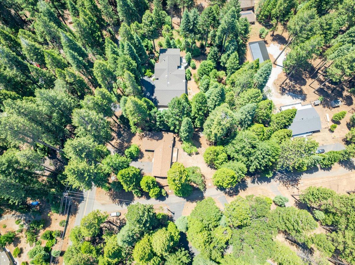 2226 Blair Road Pollock Pines, CA 95726 - Photo 54 of 58
