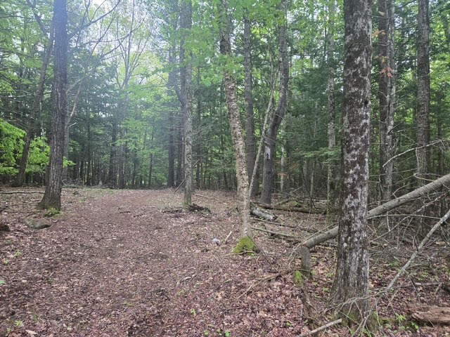 30 Marshall Valley Road Windham, ME 04062 - Photo 2 of 14 unnamed (5)