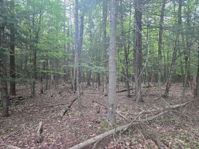 30 Marshall Valley Road Windham, ME 04062 - Photo 3 of 14 unnamed (4)