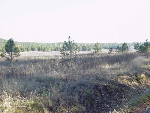 3500 West Jump Off Joe Road Valley, WA 99181 - Photo 1 of 5