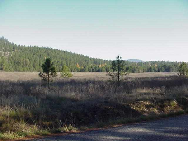 3500 West Jump Off Joe Road Valley, WA 99181 - Photo 3 of 5