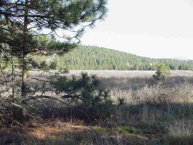 3500 West Jump Off Joe Road Valley, WA 99181 - Photo 4 of 5