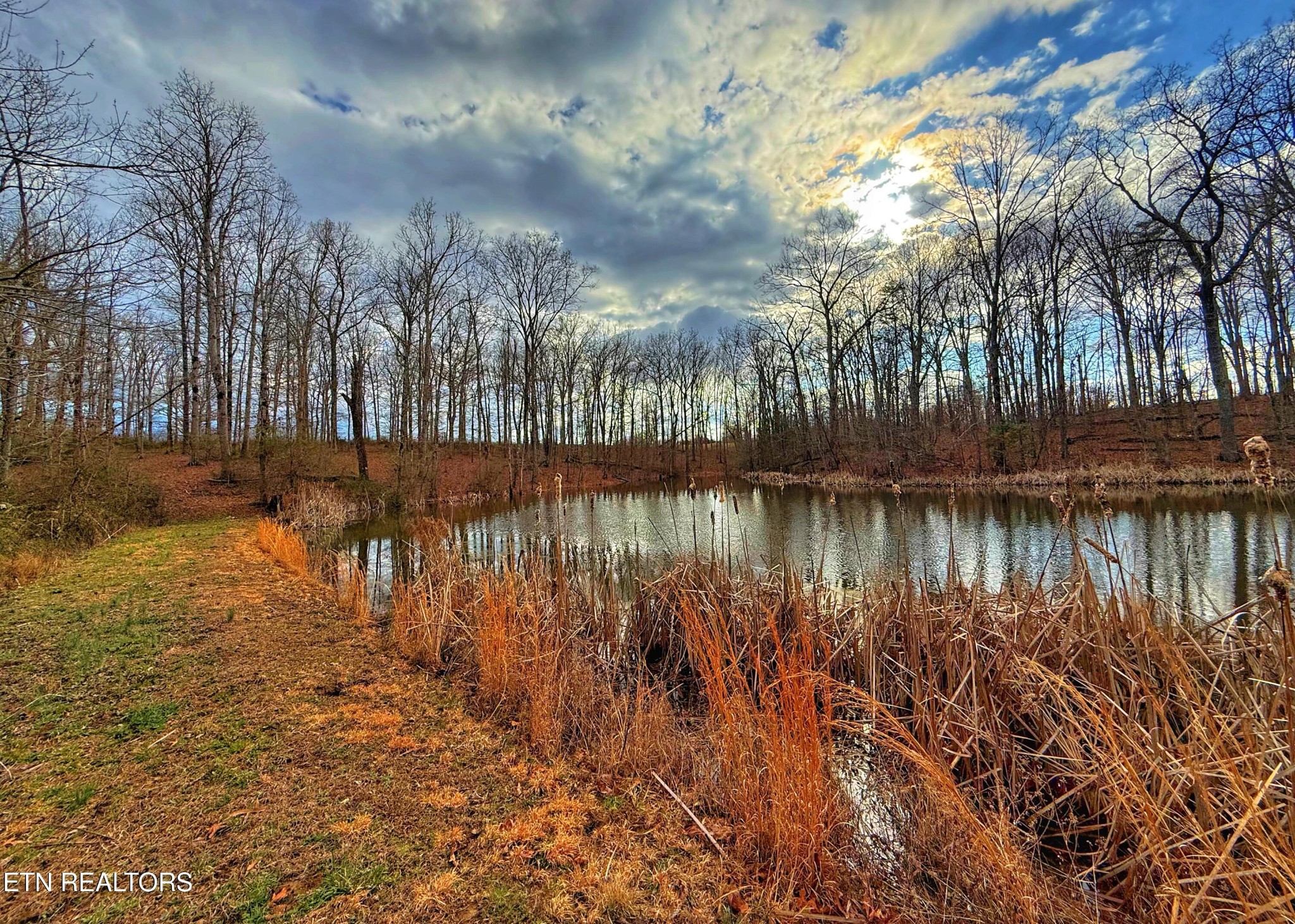 0 Winningham Road Crossville, TN 38572 - Photo 1 of 34 a view of lake