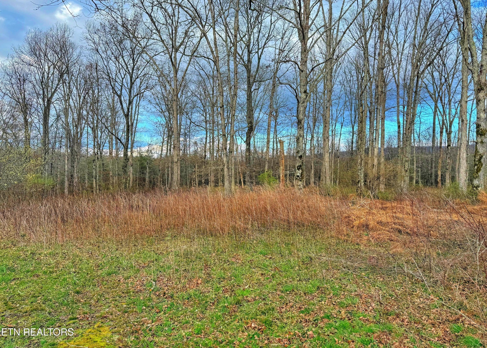 0 Winningham Road Crossville, TN 38572 - Photo 14 of 34 a view of backyard with green space