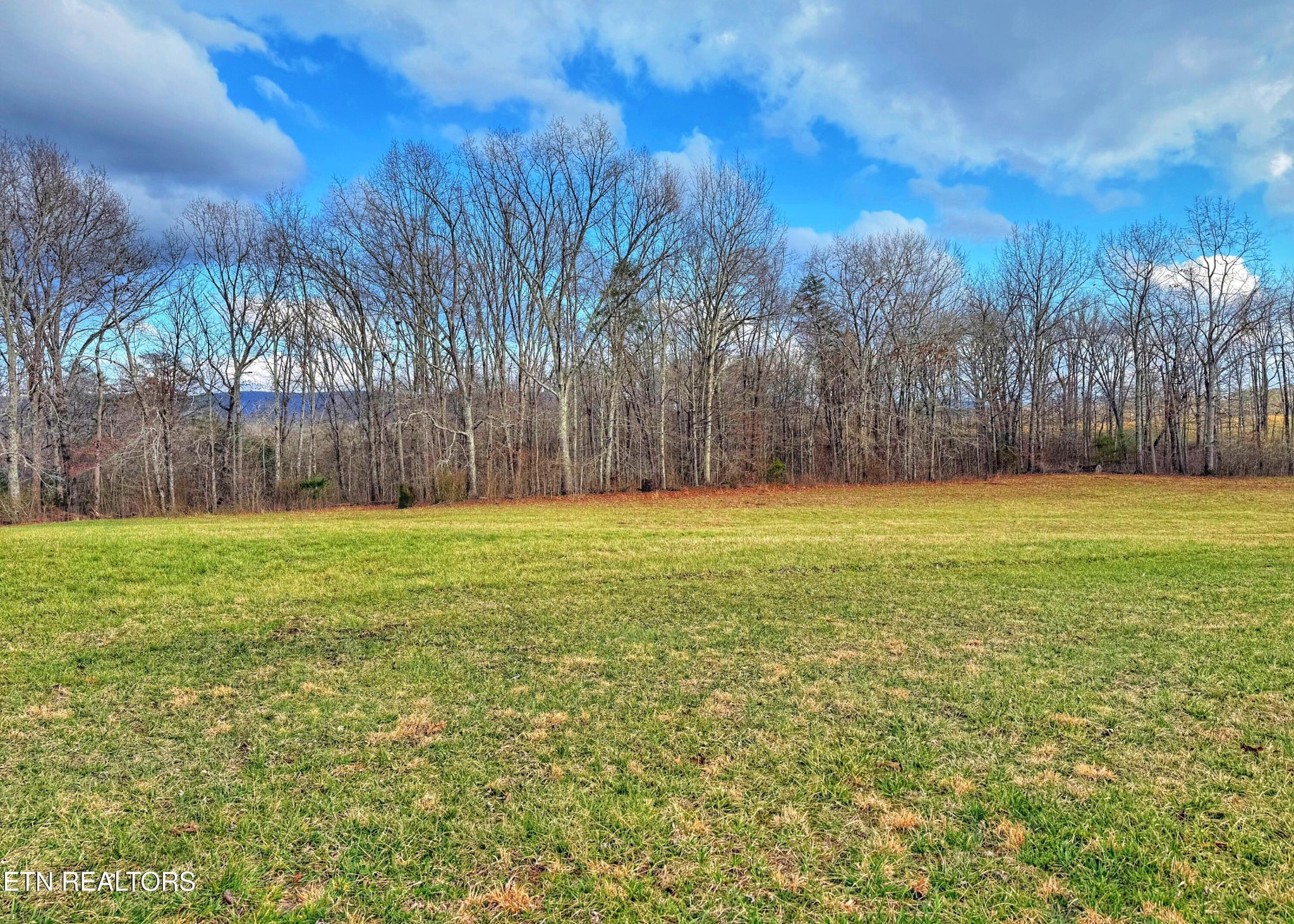 0 Winningham Road Crossville, TN 38572 - Photo 18 of 34 a view of a yard with a house in the background