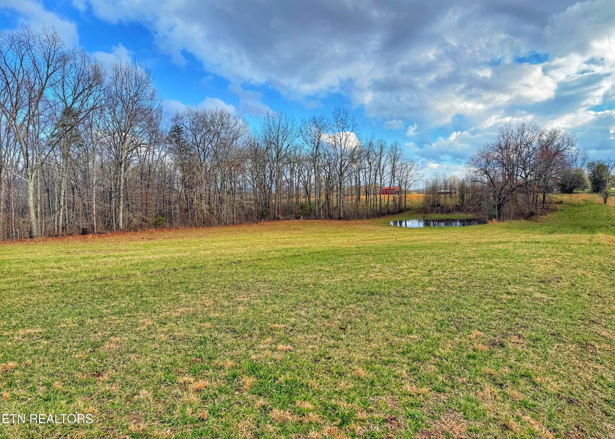 0 Winningham Road Crossville, TN 38572 - Photo 19 of 34 a view of a field with trees in the background