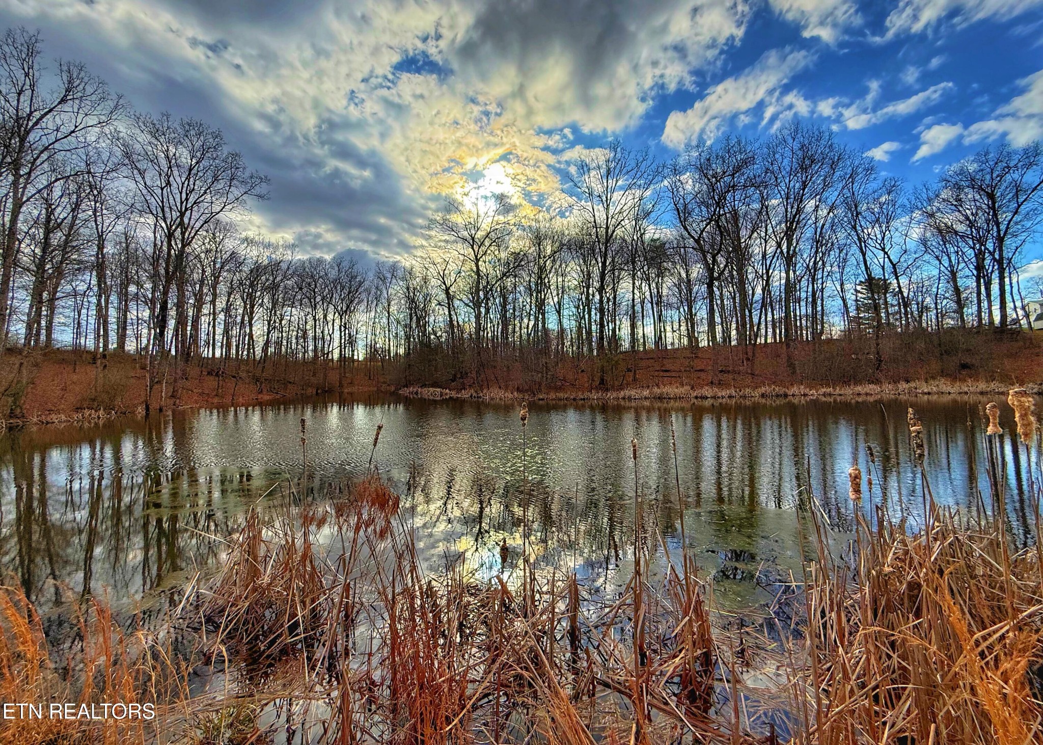 0 Winningham Road Crossville, TN 38572 - Photo 2 of 34 a view of lake
