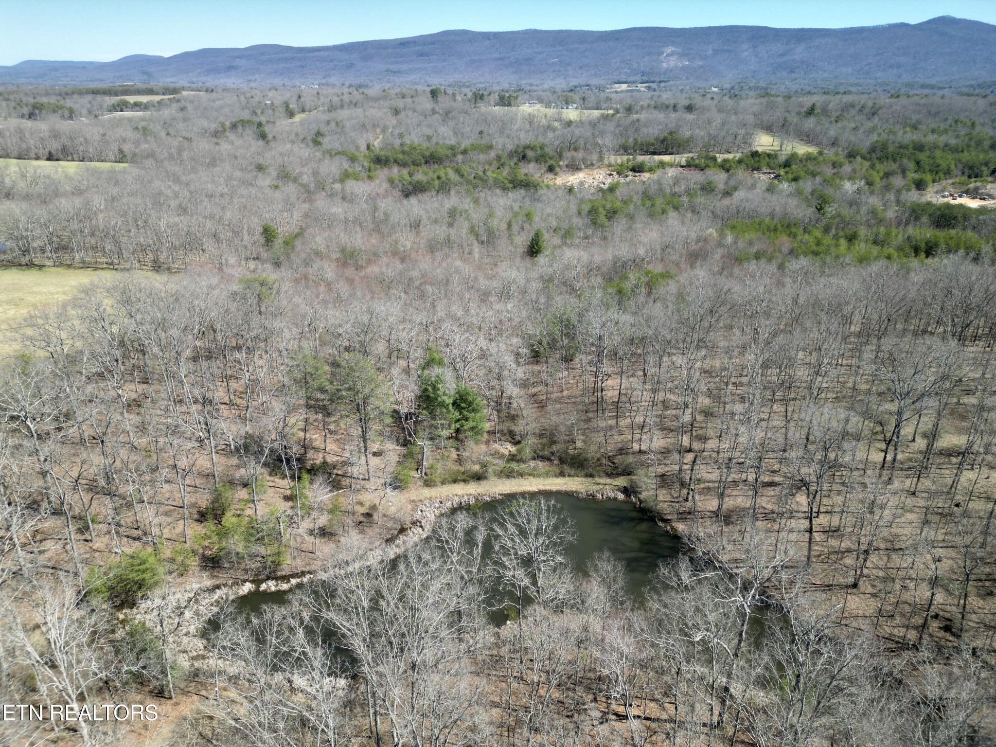 0 Winningham Road Crossville, TN 38572 - Photo 25 of 34 a view of a dry field with trees in the background