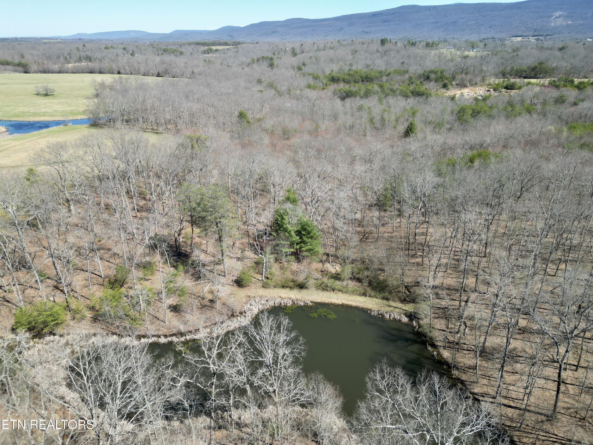 0 Winningham Road Crossville, TN 38572 - Photo 26 of 34 a view of lake with mountain