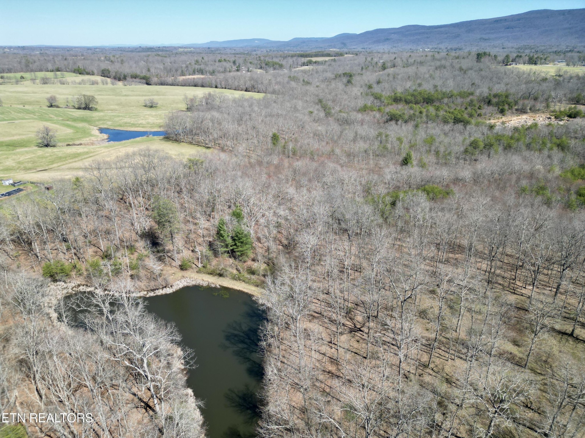 0 Winningham Road Crossville, TN 38572 - Photo 28 of 34