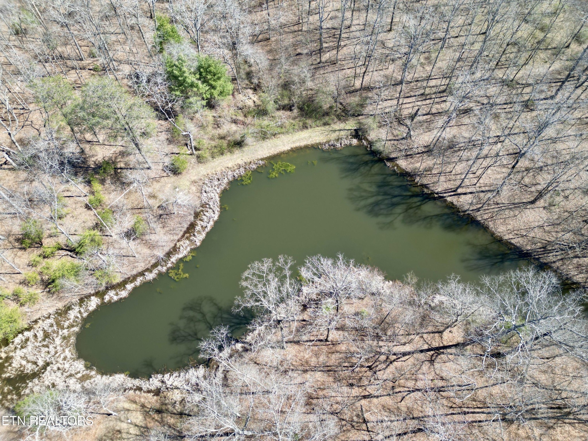 0 Winningham Road Crossville, TN 38572 - Photo 30 of 34 a view of lake from next to mountain
