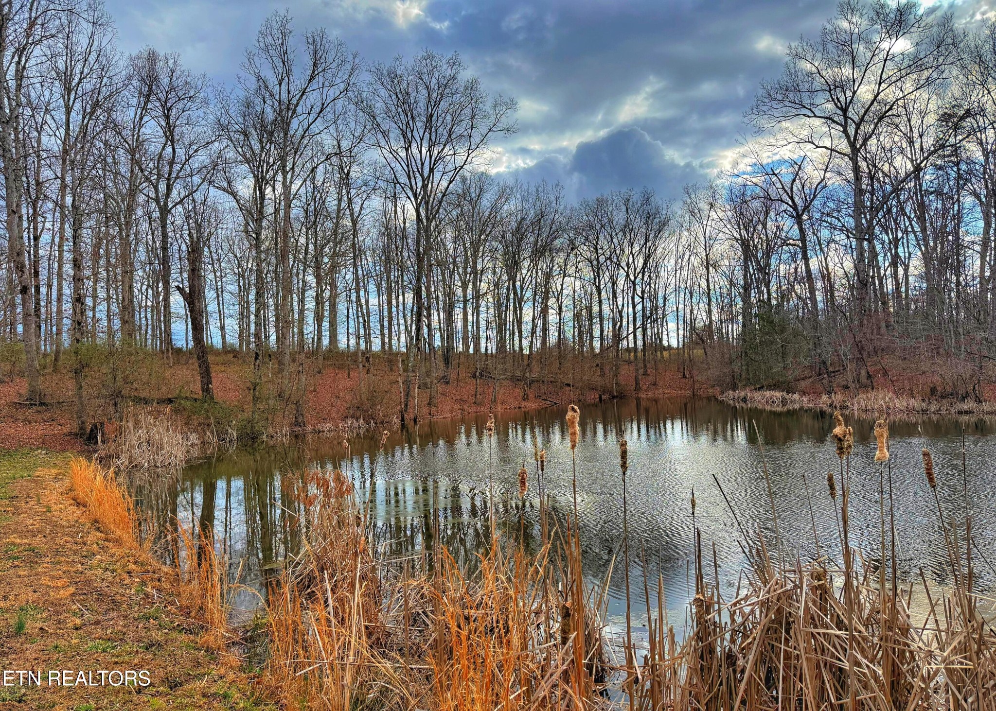 0 Winningham Road Crossville, TN 38572 - Photo 5 of 34 a view of lake