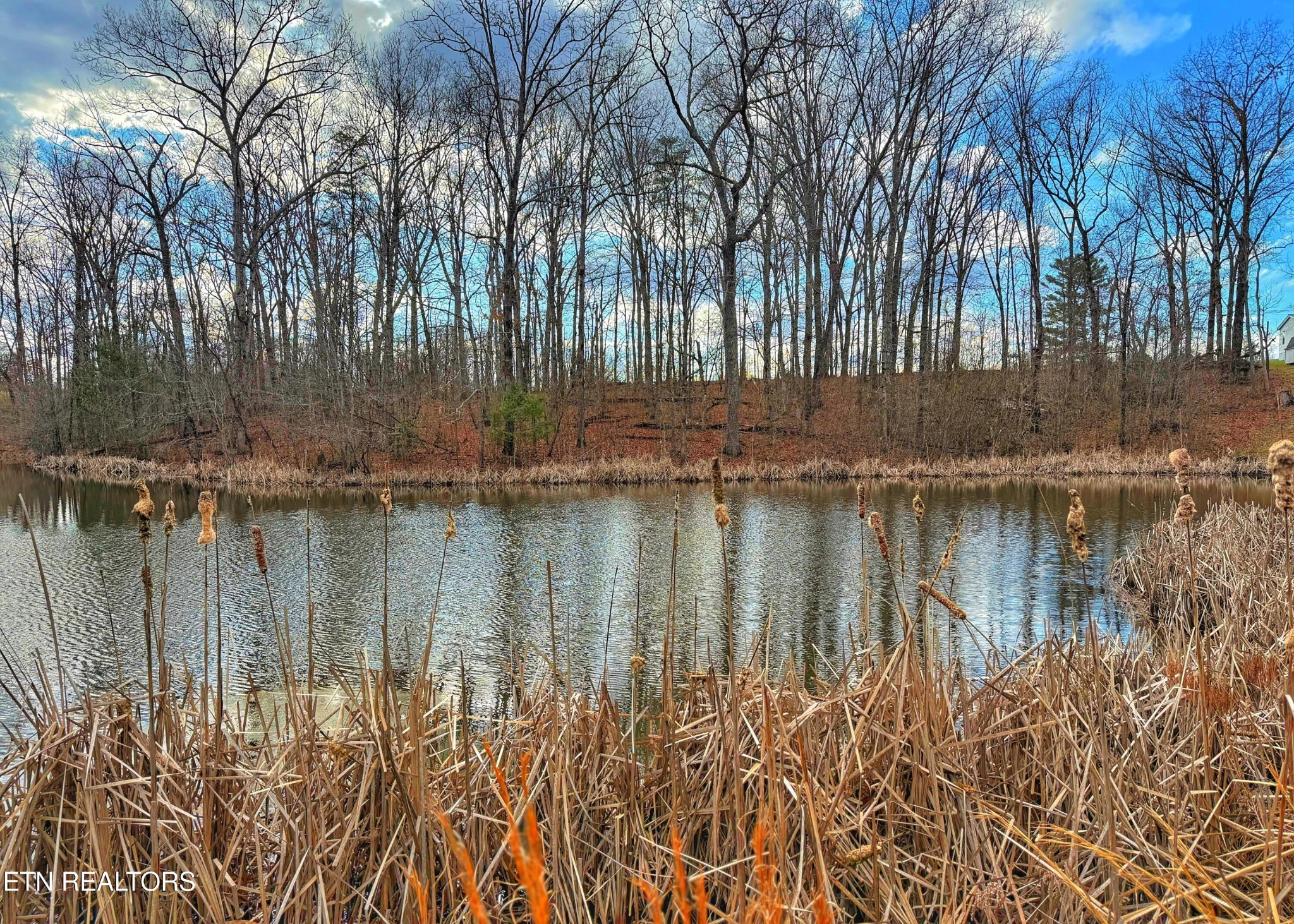 0 Winningham Road Crossville, TN 38572 - Photo 6 of 34 a view of lake
