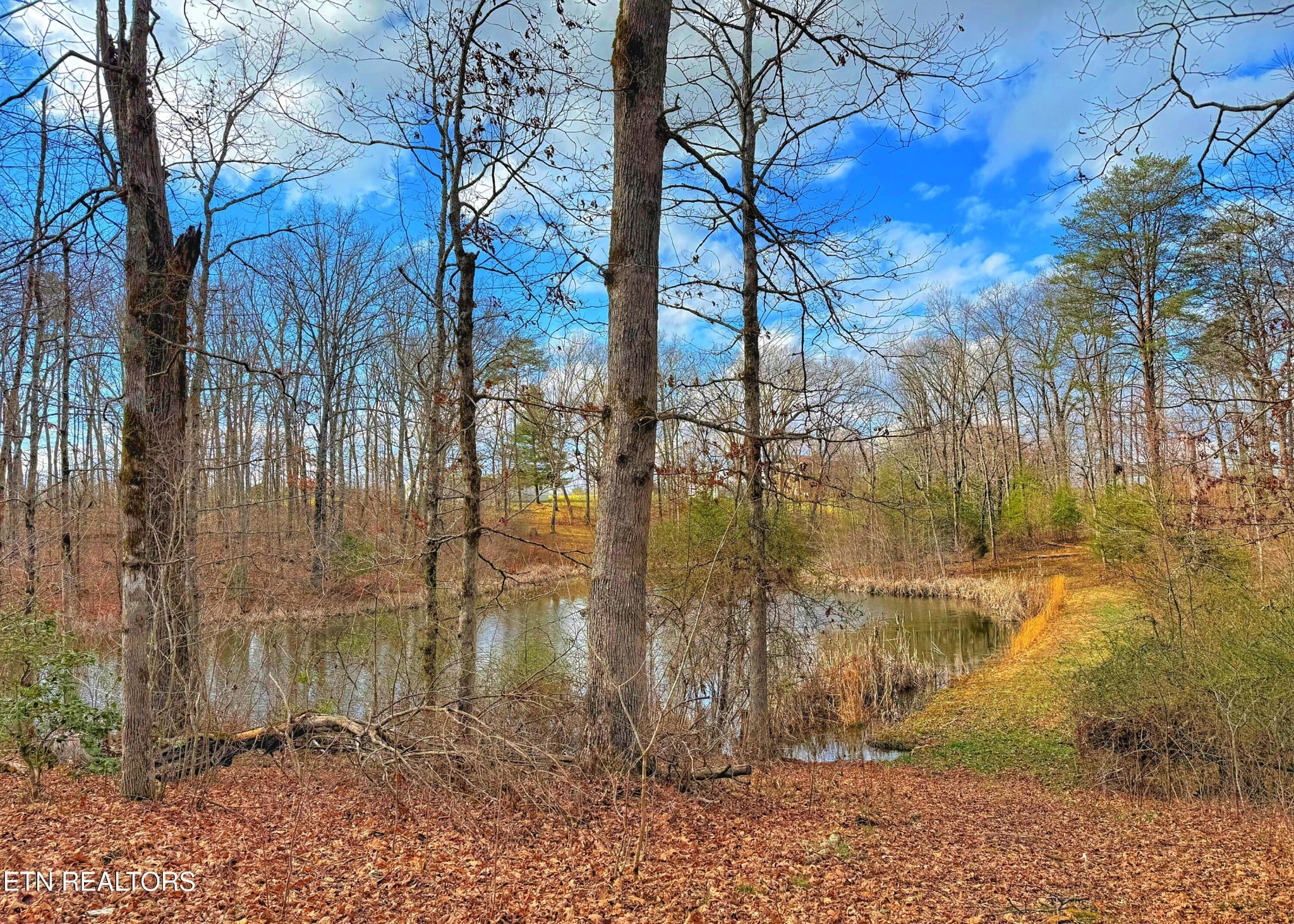 0 Winningham Road Crossville, TN 38572 - Photo 7 of 34 a backyard of a house