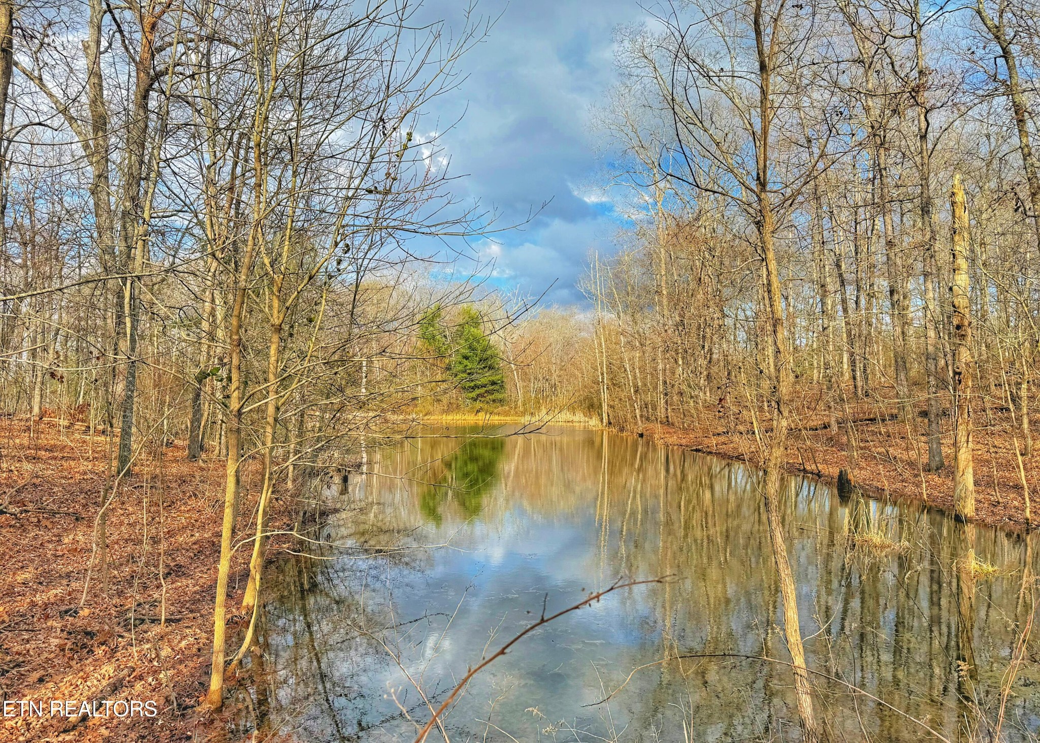 0 Winningham Road Crossville, TN 38572 - Photo 8 of 34 a view of swimming pool of water with large trees