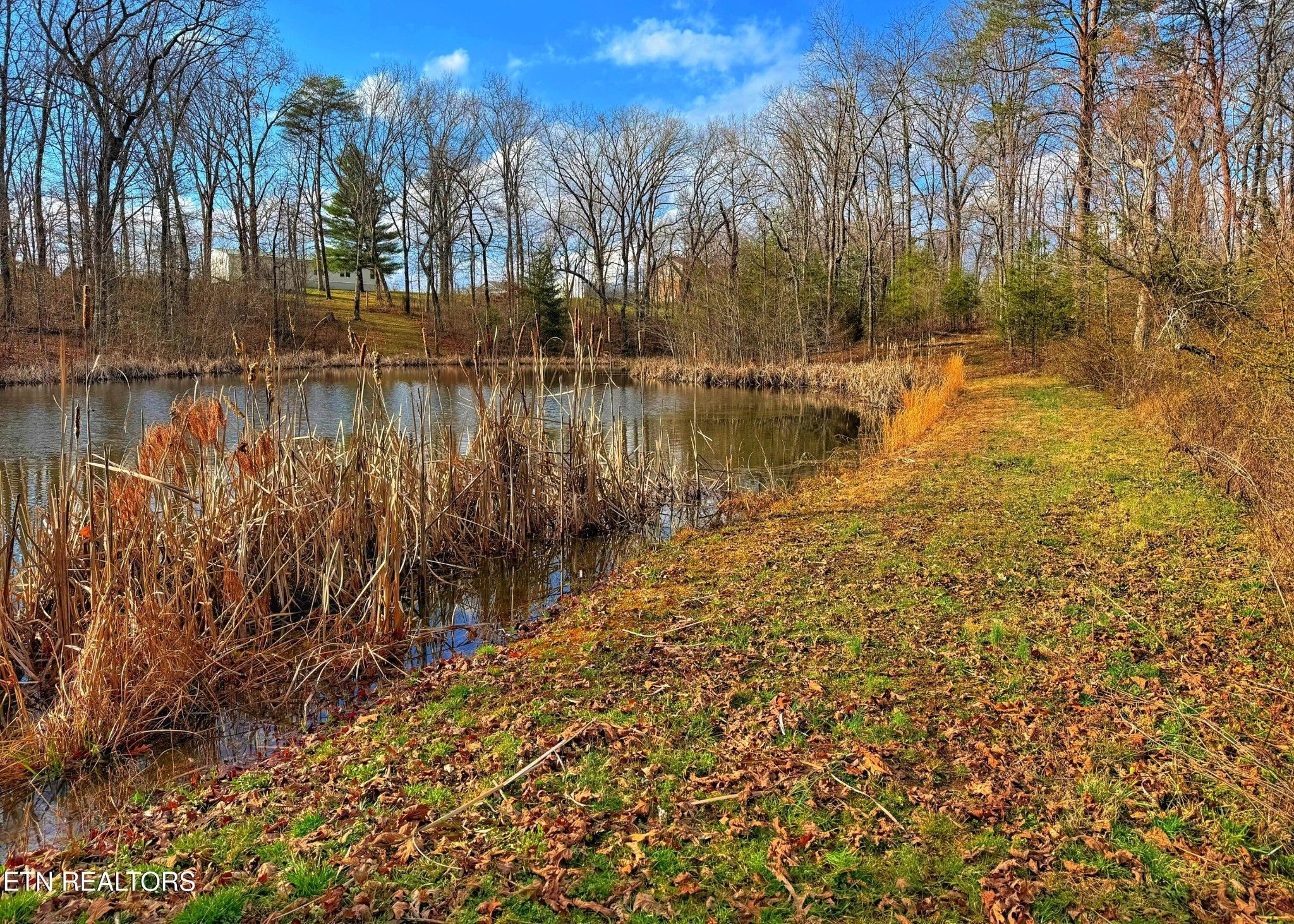 0 Winningham Road Crossville, TN 38572 - Photo 9 of 34 a view of lake