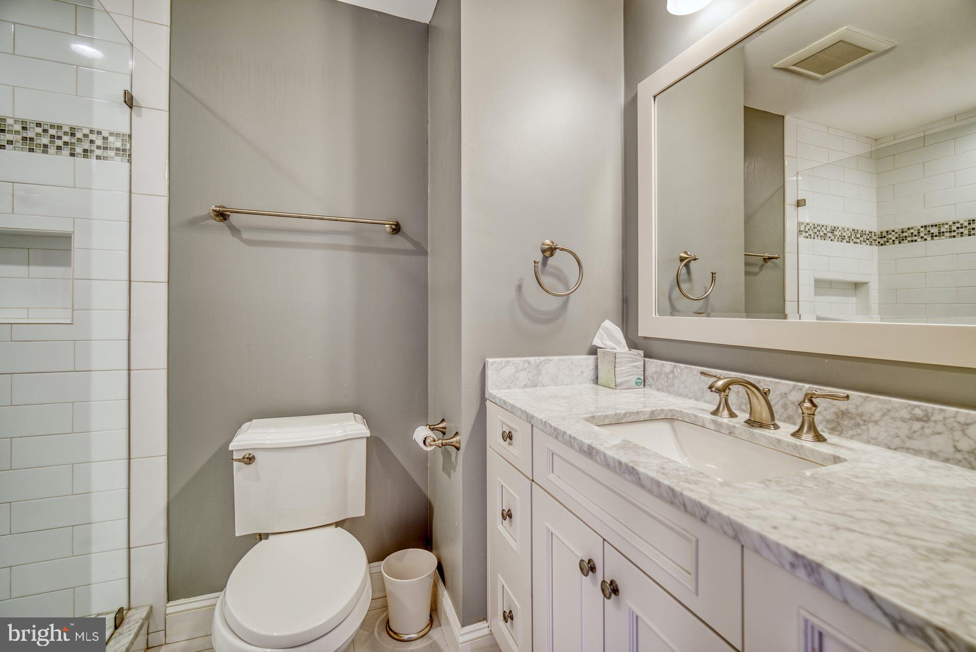 8704 Brickyard Road Potomac, MD 20854 - Photo 30 of 53 Bathroom 2
