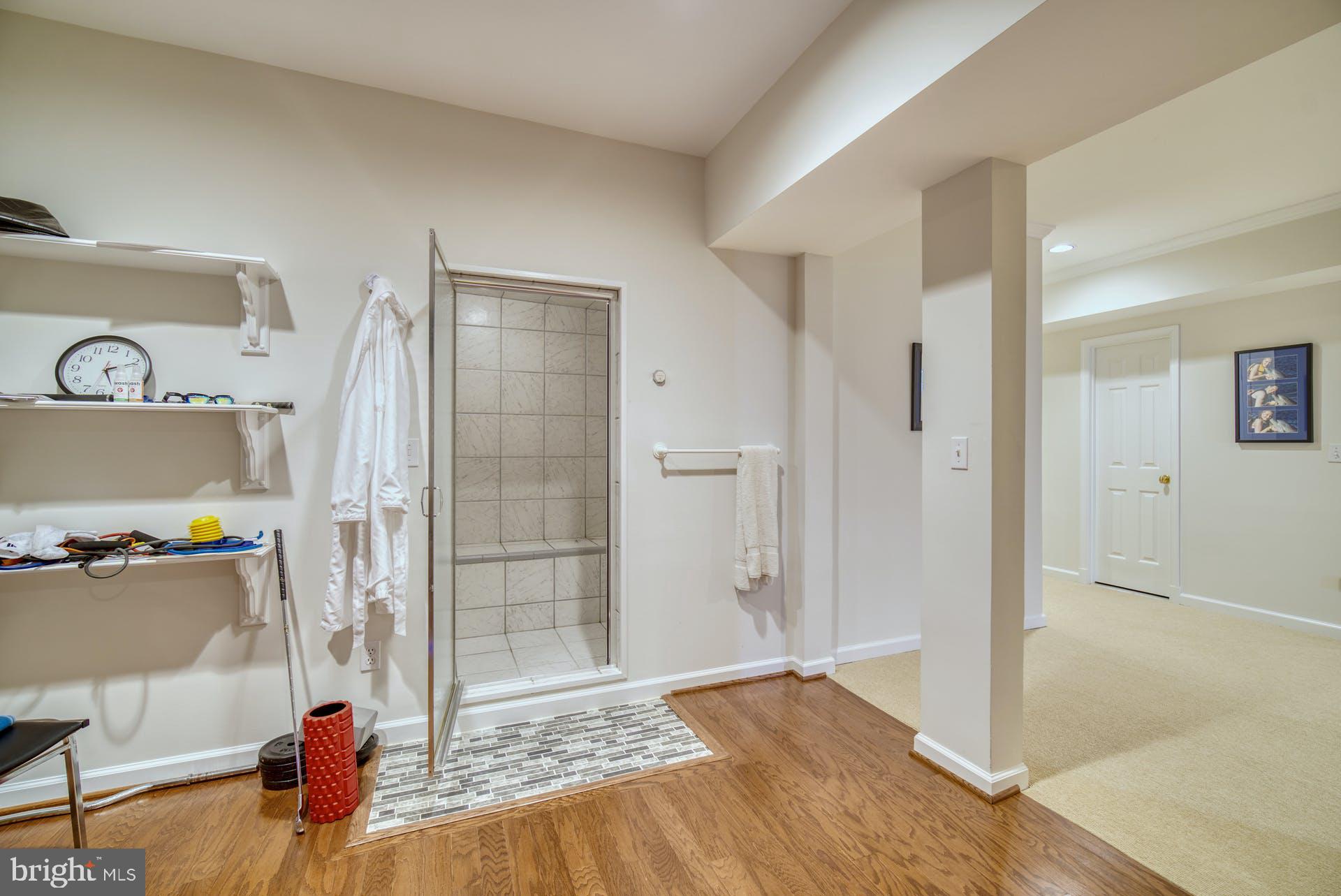 8704 Brickyard Road Potomac, MD 20854 - Photo 42 of 53 Lower Level