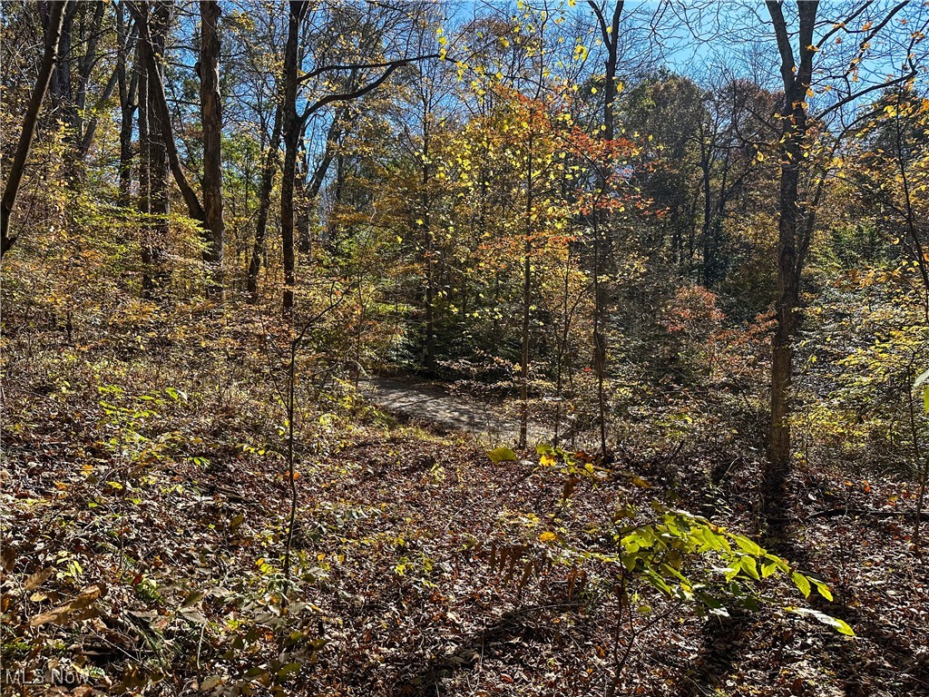 0 Clark Road Cutler, OH 45724 - Photo 17 of 26 View of undeveloped land