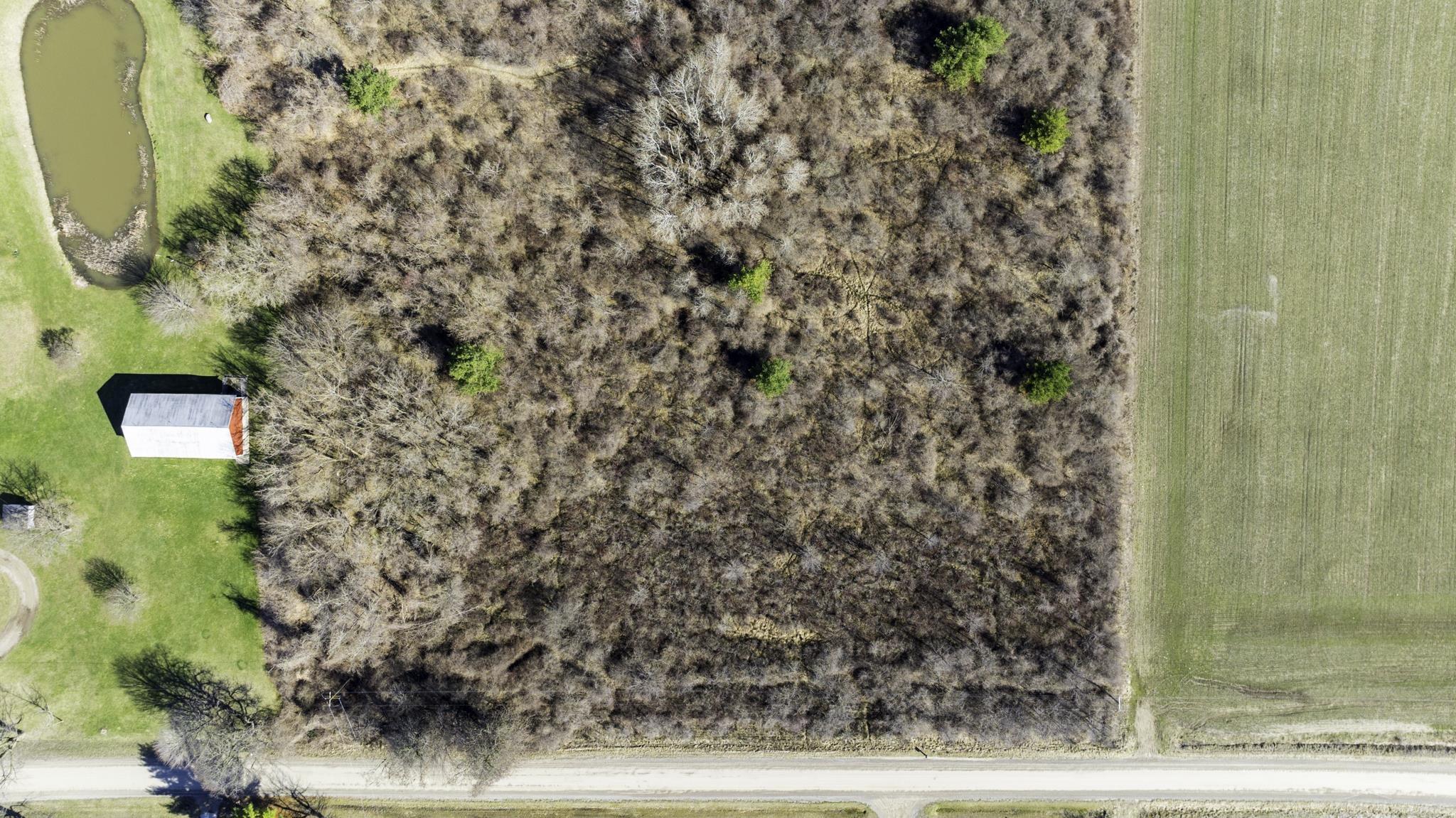 Vl Mortimer Line Road Croswell, MI 48422 - Photo 5 of 11