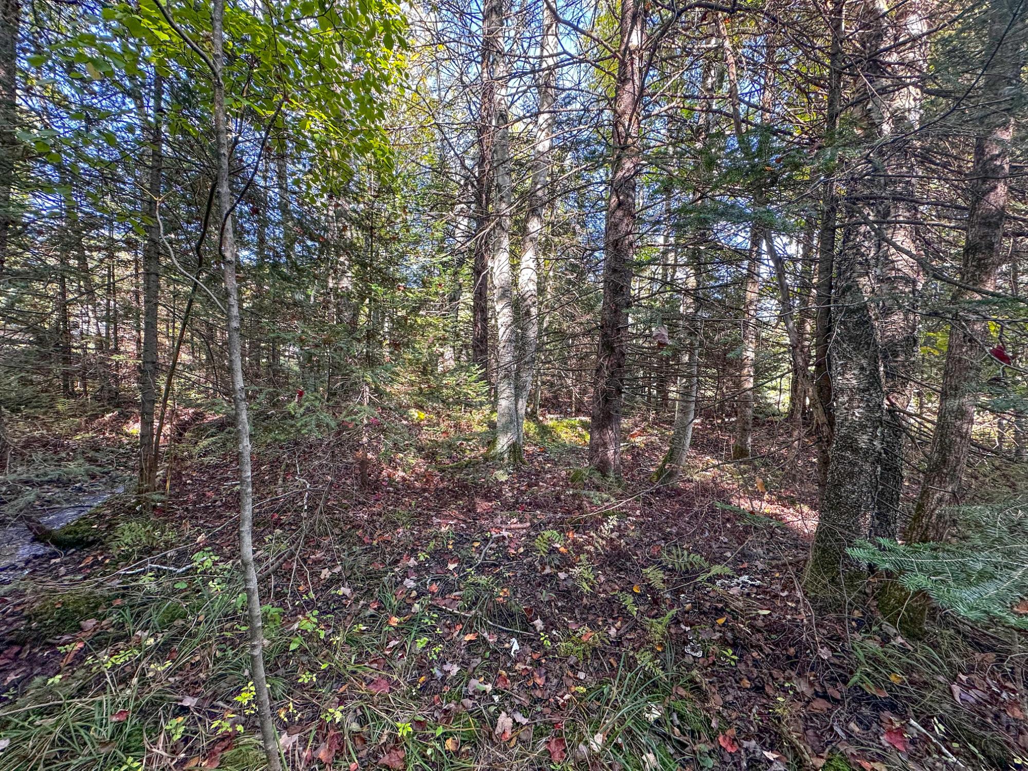 N16292 Silver Birch Road Park Falls, WI 54552 - Photo 40 of 44 Gallery Image 40
