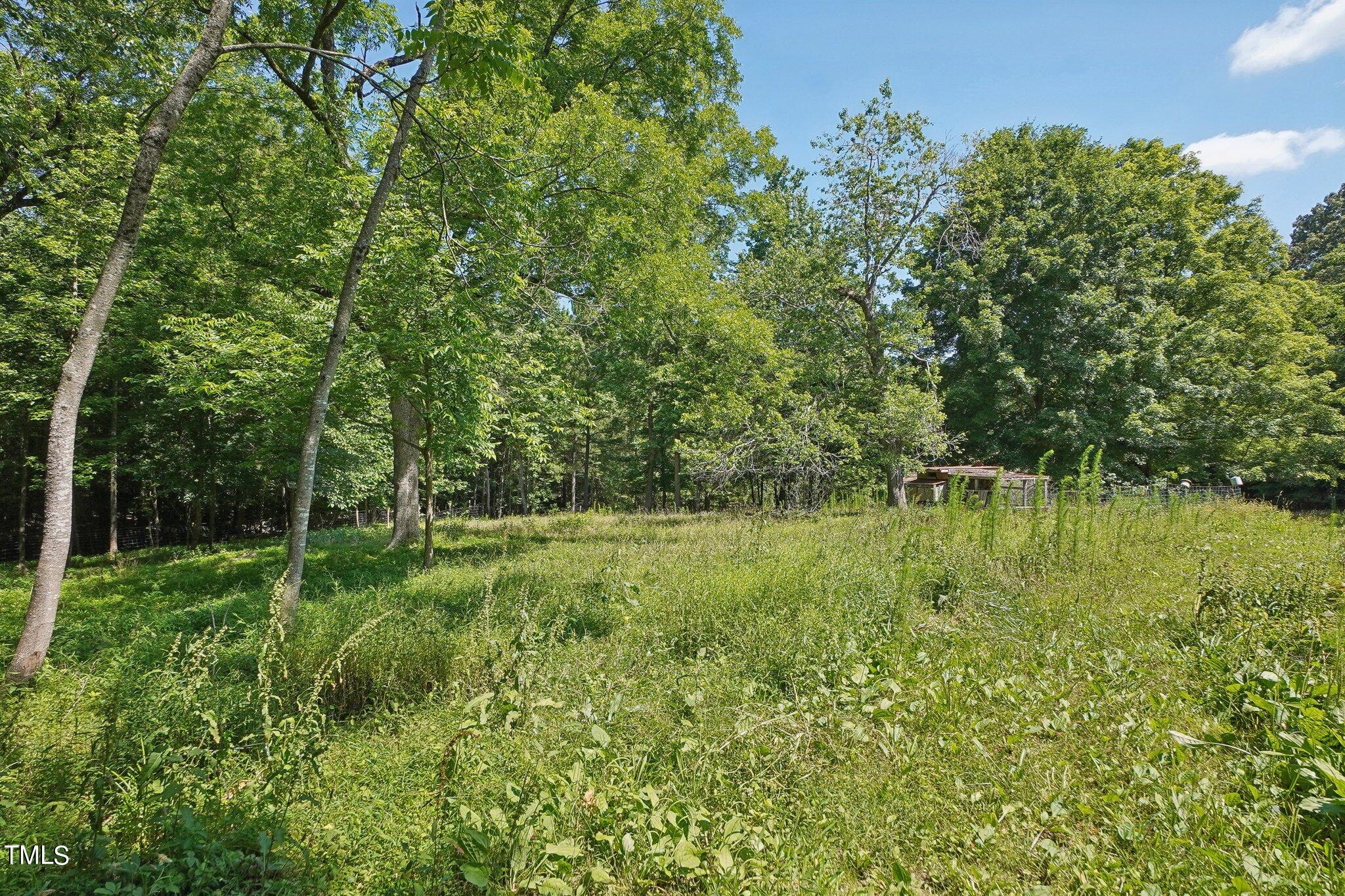 425 Kittrell Road Kittrell, NC 27544 - Photo 55 of 69 Fenced pasture