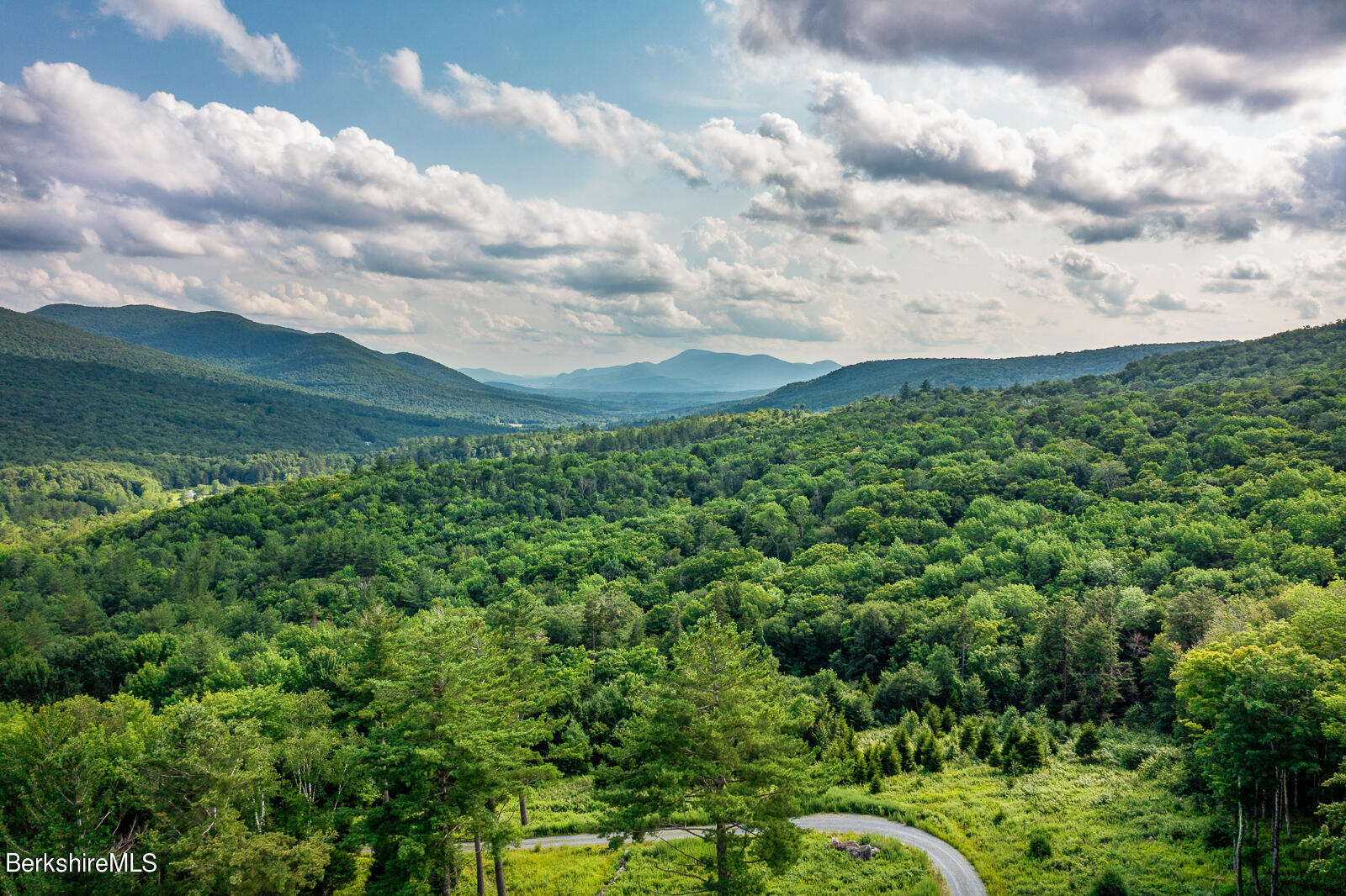 537 Sportsmen Road Stamford, VT 05352 - Photo 1 of 1 a view of a lush green forest with lots of trees