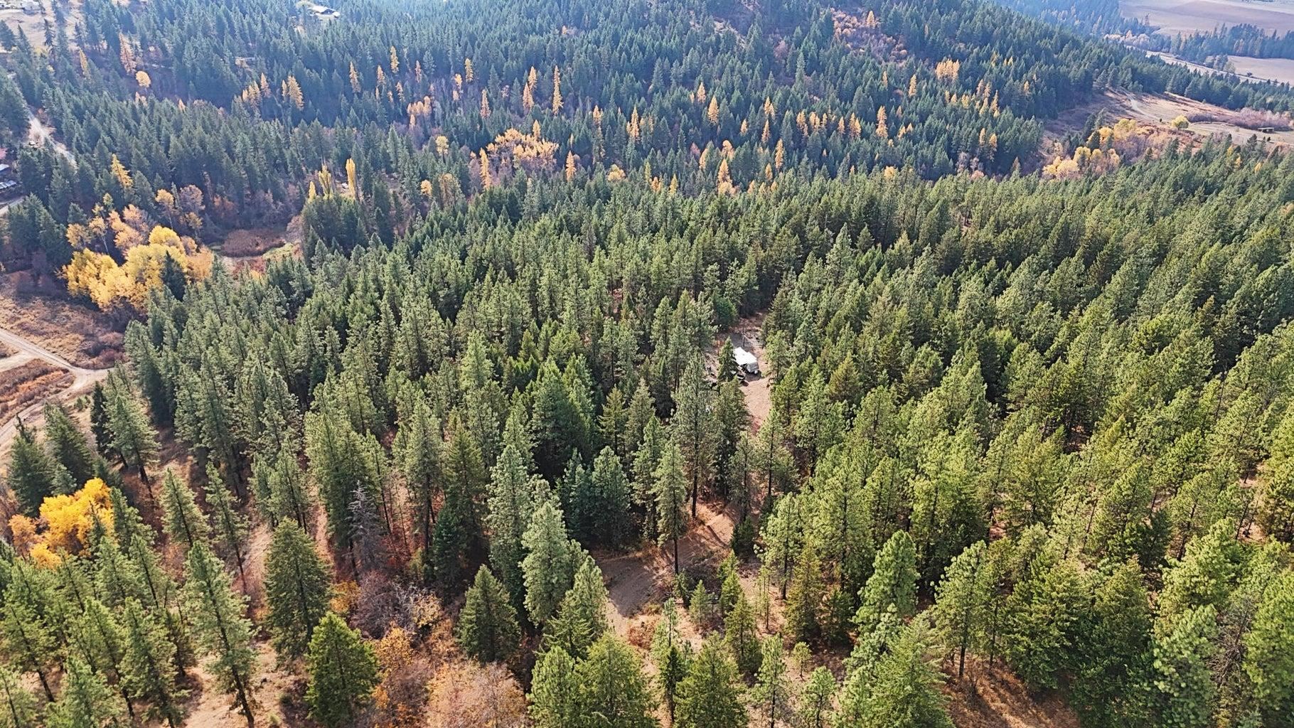 1631 North Bonanza Hill Road Evans, WA 99126 - Photo 12 of 36