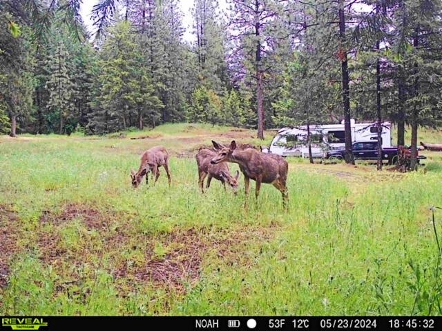 1631 North Bonanza Hill Road Evans, WA 99126 - Photo 13 of 36