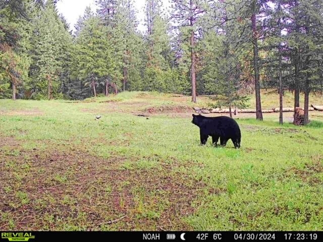 1631 North Bonanza Hill Road Evans, WA 99126 - Photo 16 of 36