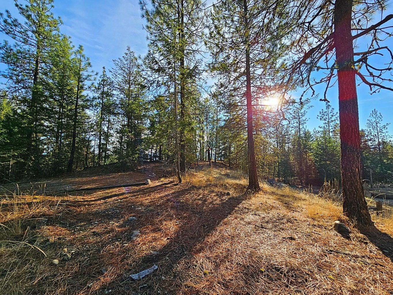 1631 North Bonanza Hill Road Evans, WA 99126 - Photo 23 of 36