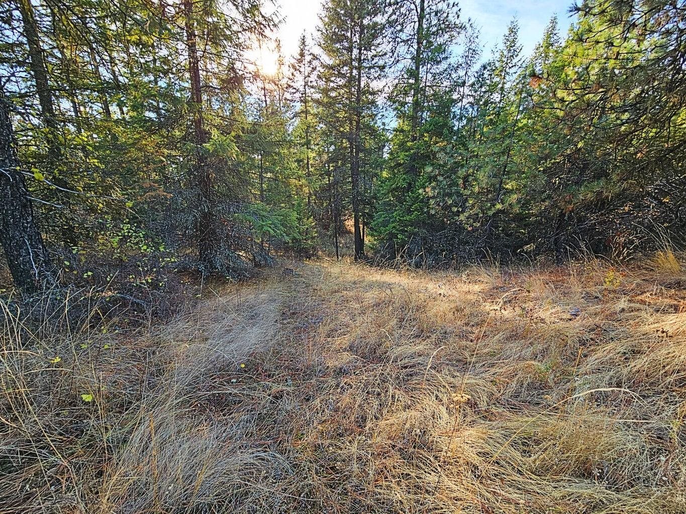 1631 North Bonanza Hill Road Evans, WA 99126 - Photo 28 of 36