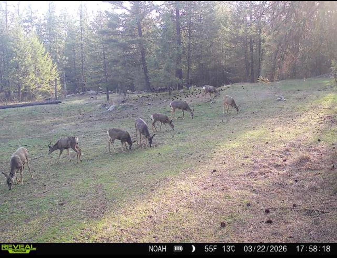 1631 North Bonanza Hill Road Evans, WA 99126 - Photo 36 of 36