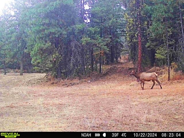 1631 North Bonanza Hill Road Evans, WA 99126 - Photo 7 of 36