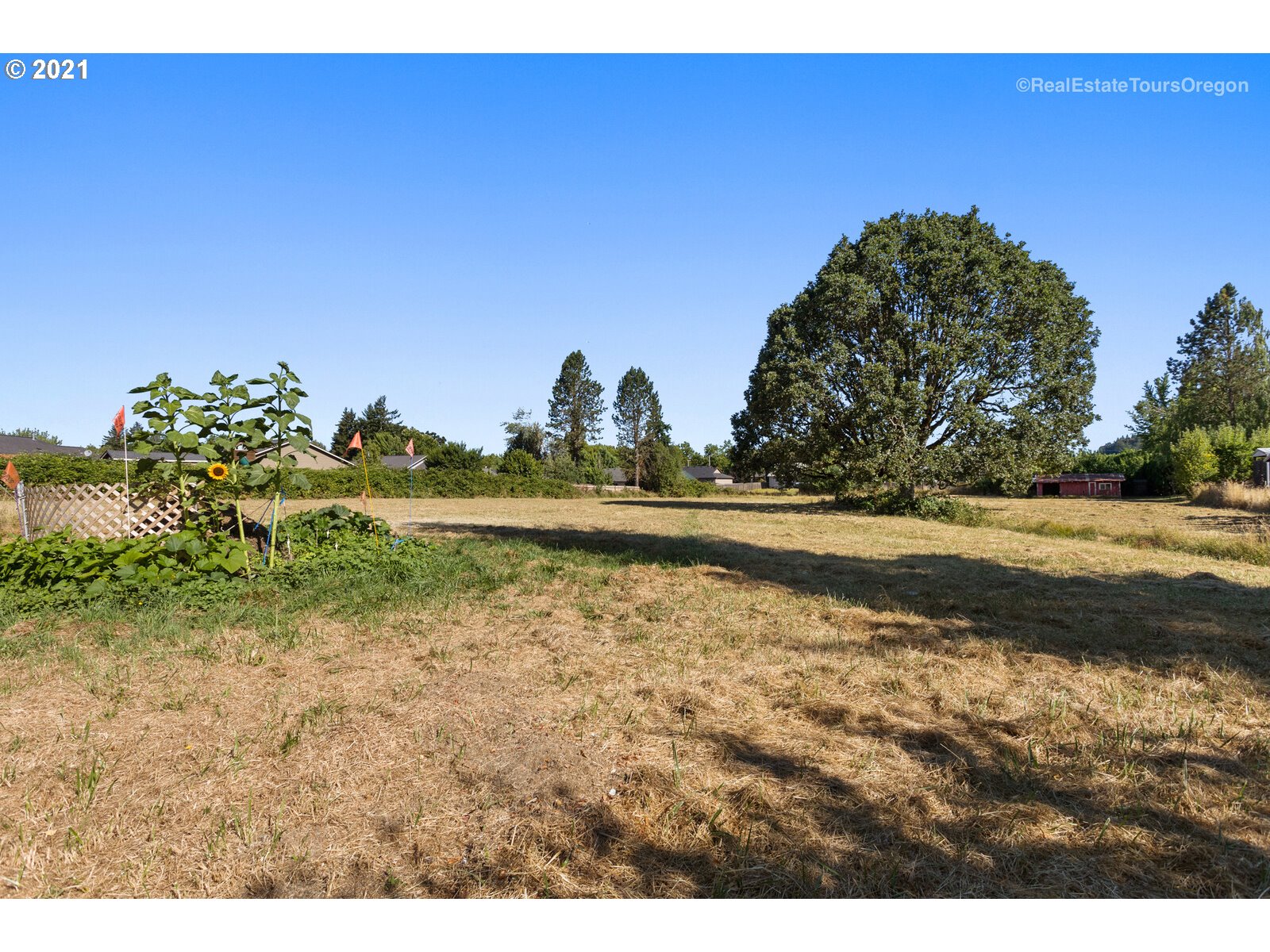 306 Rosedell Street Amity, OR 97101 - Photo 18 of 32 Gallery Image 18