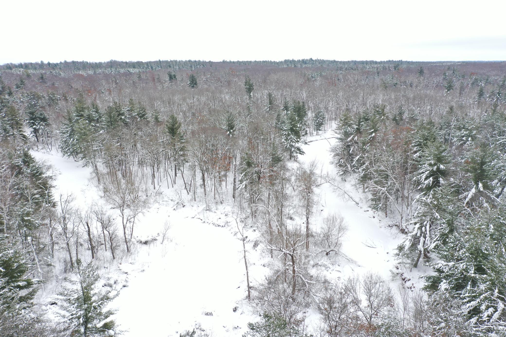 Xxx Johnson Road Grantsburg, WI 54840 - Photo 1 of 1 Gallery Image 1
