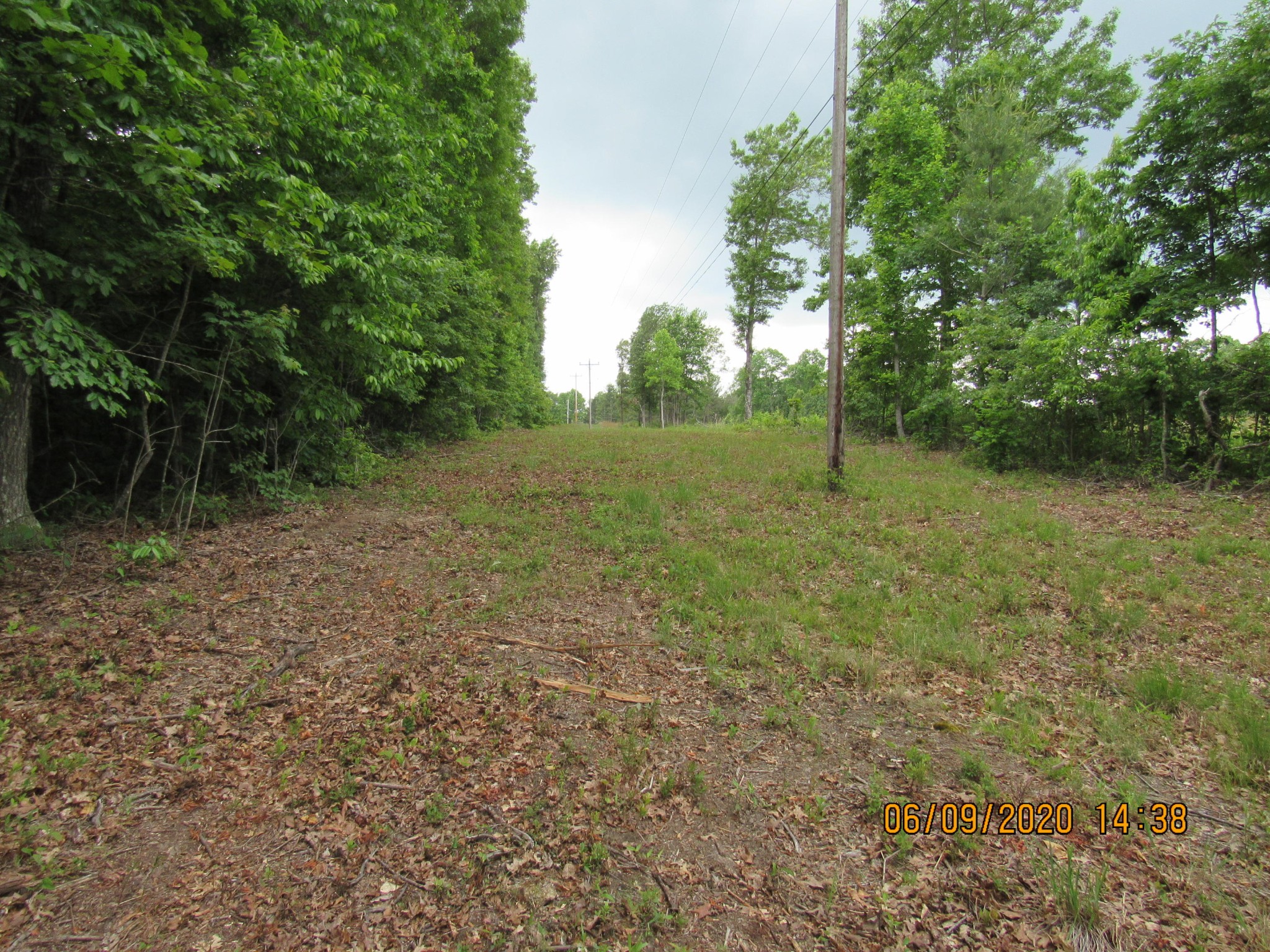 42 Coon Hollow Road Deer Lodge, TN 37726 - Photo 16 of 40 a view of a field with trees in the background