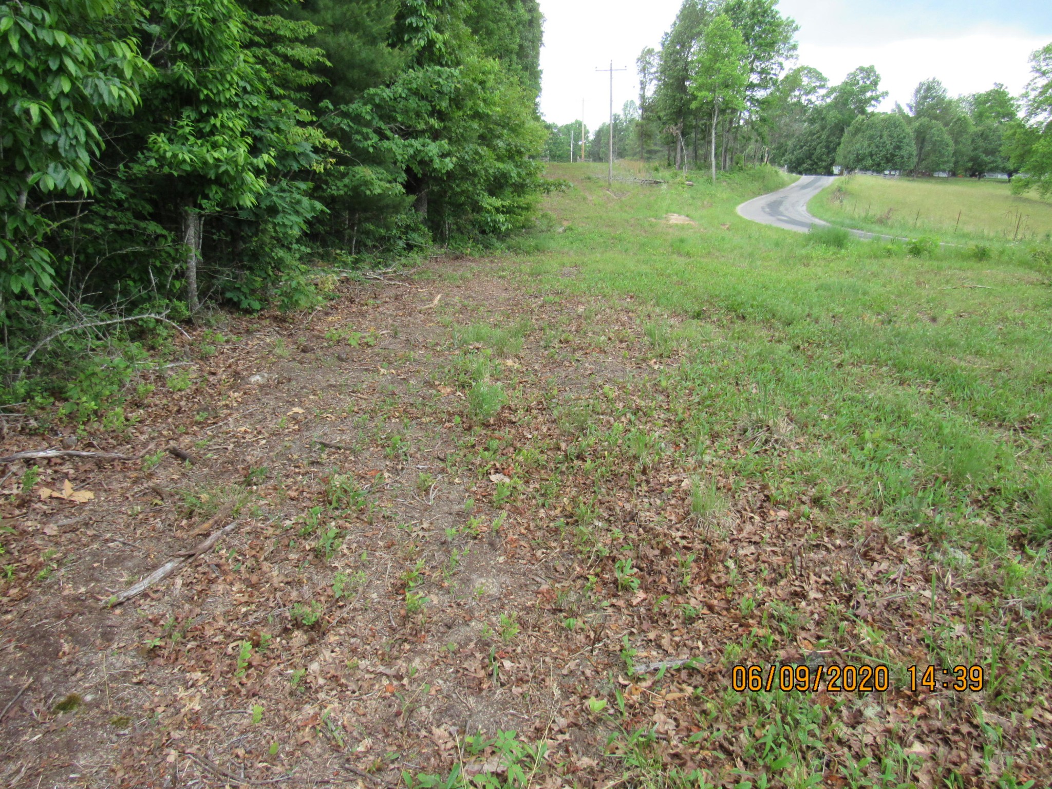 42 Coon Hollow Road Deer Lodge, TN 37726 - Photo 18 of 40 a view of a field with trees in the background