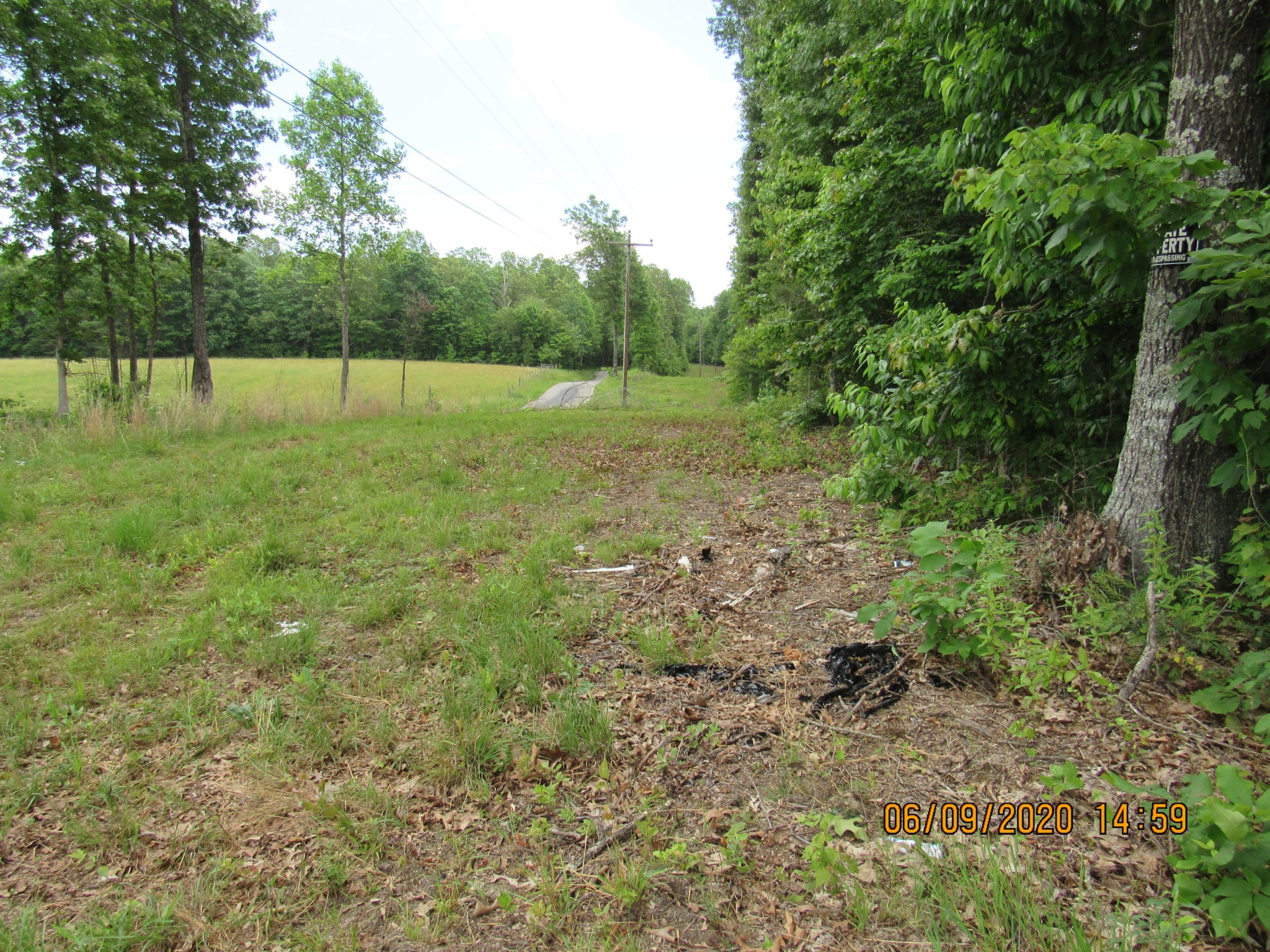 42 Coon Hollow Road Deer Lodge, TN 37726 - Photo 35 of 40 a view of outdoor space with deck and yard