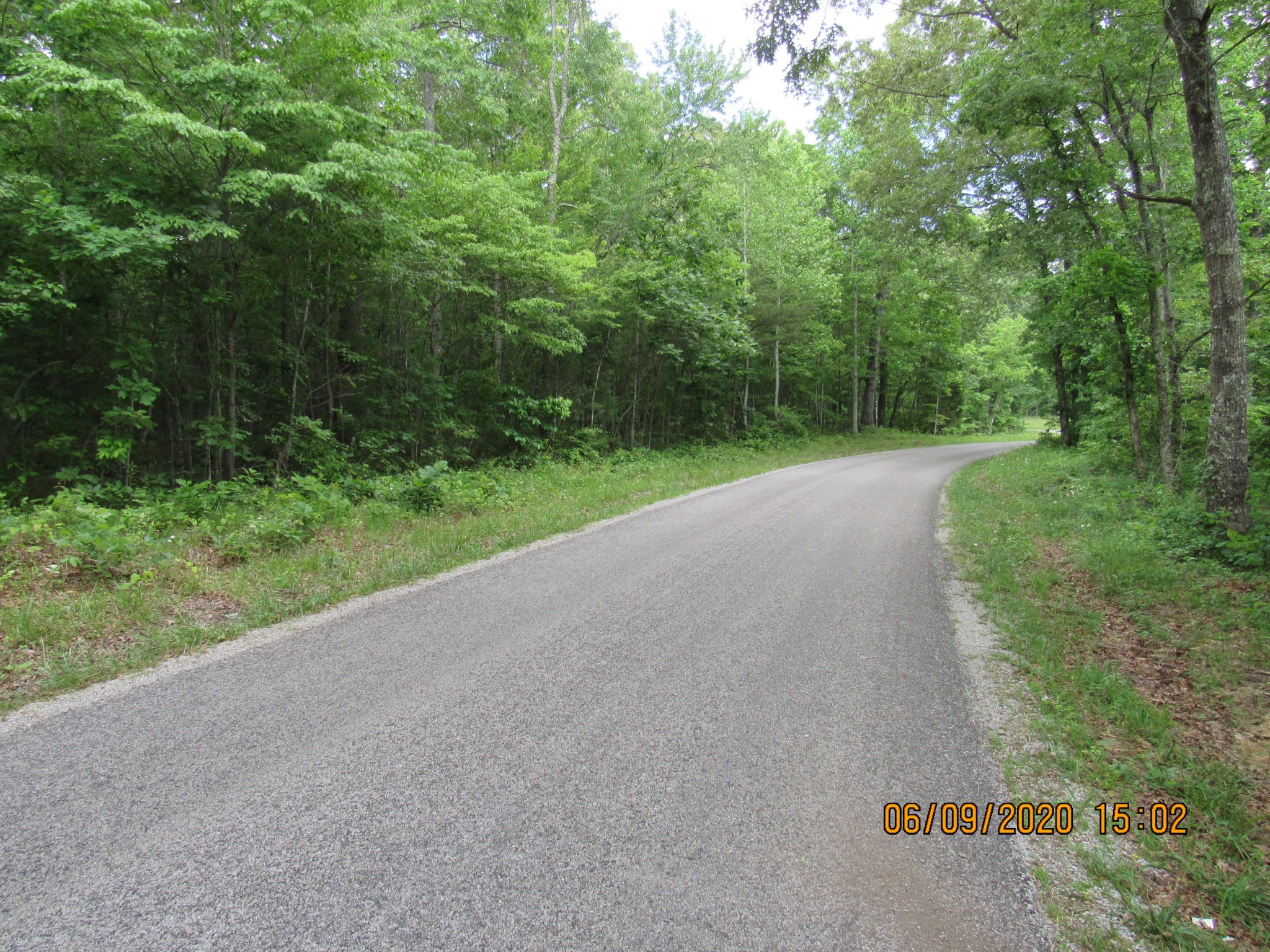 42 Coon Hollow Road Deer Lodge, TN 37726 - Photo 37 of 40 a view of a field with trees in the background