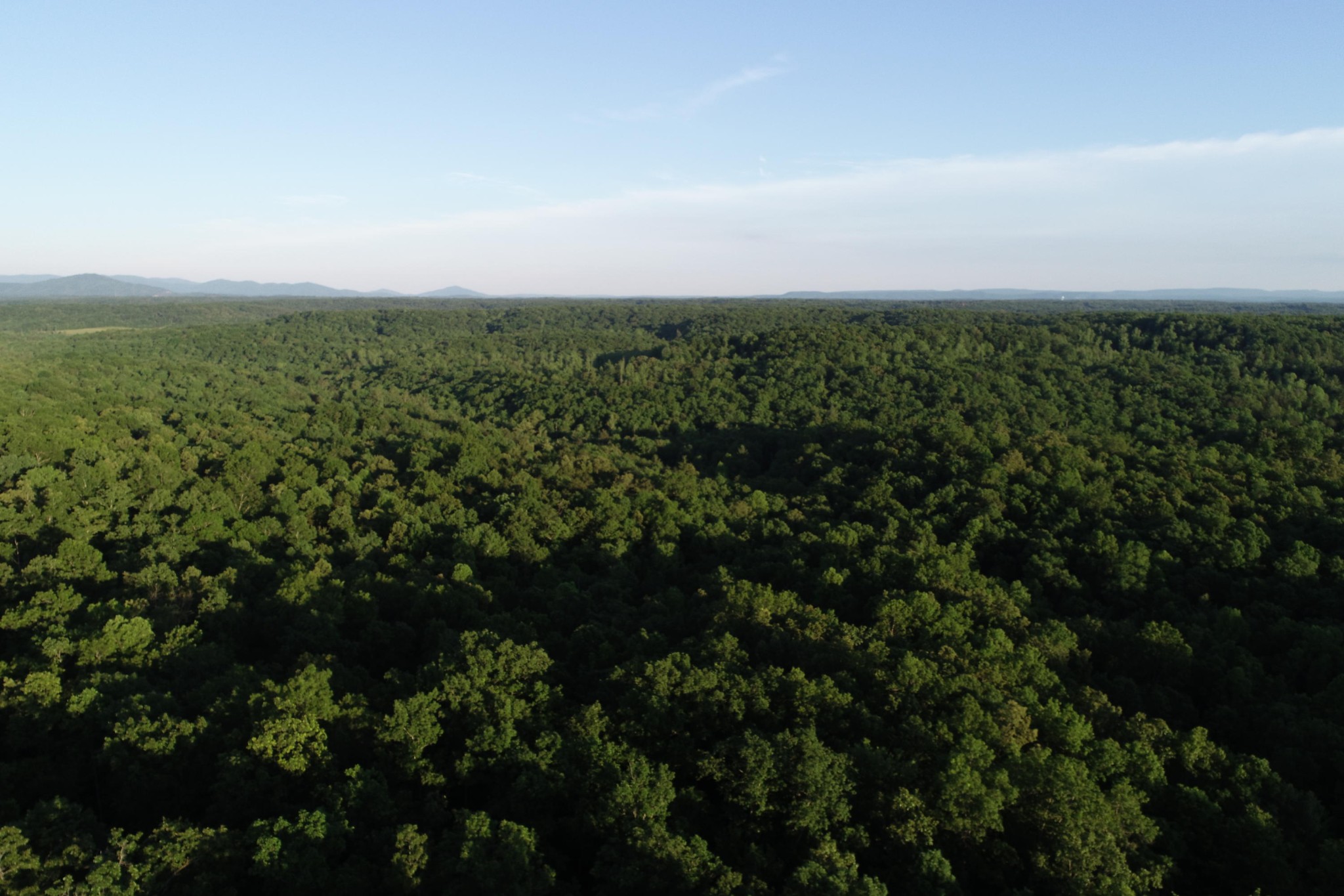 42 Coon Hollow Road Deer Lodge, TN 37726 - Photo 38 of 40 a view of a city with lush green forest